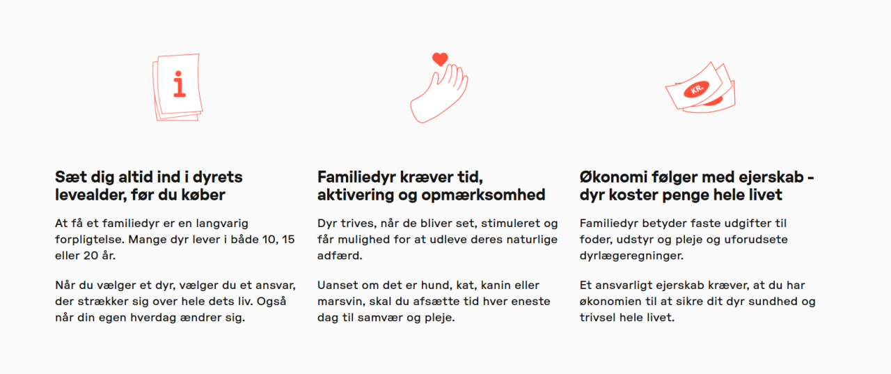 Grafik med gode råd til forberedelse før kæledyr