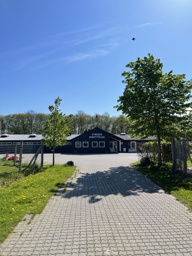 Roskilde Internat, Darupvej 131