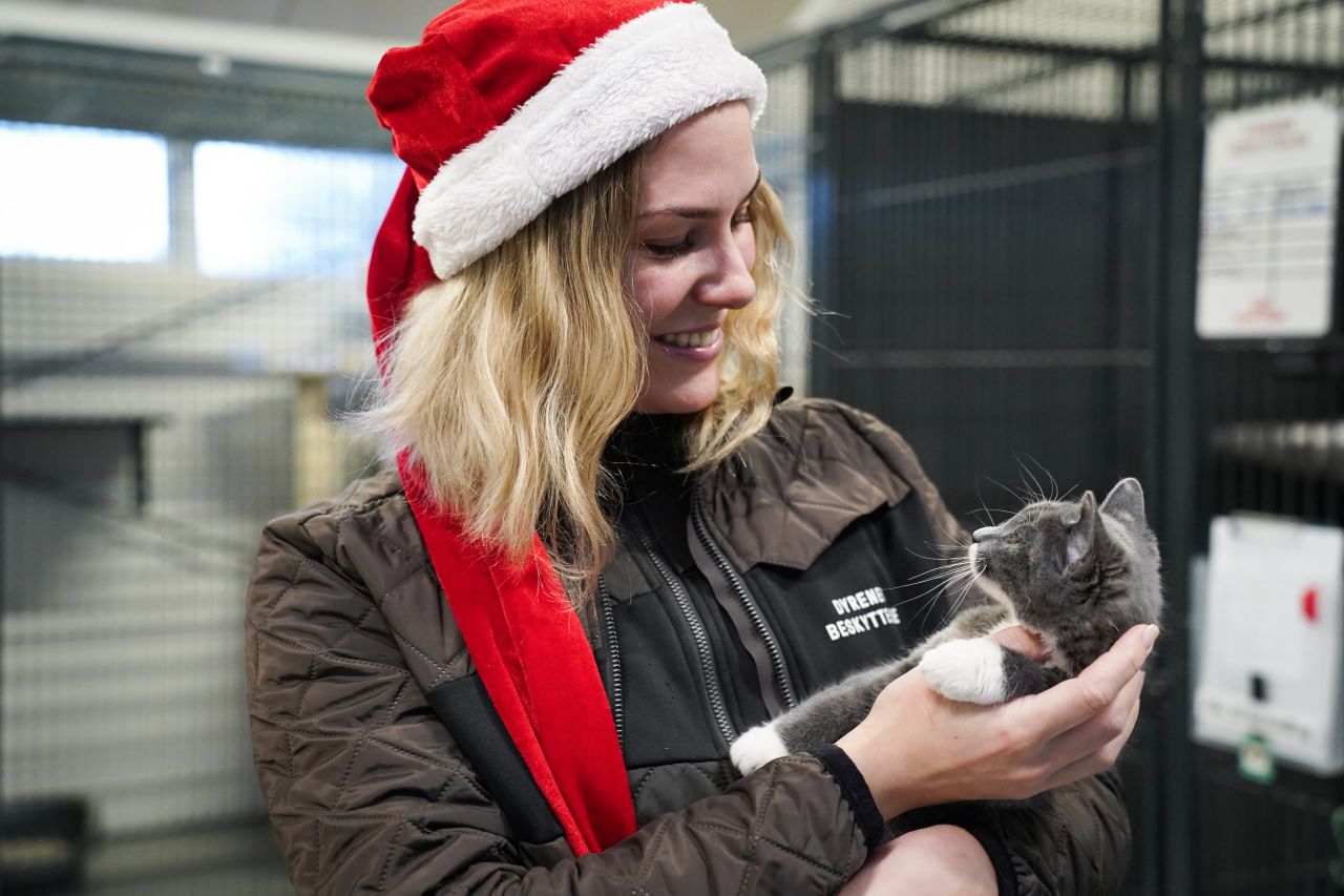 Clara med kat - Kvinde i nissehue og Dyrenes Beskyttelse-jakke smiler og kigger ned på en grå og hvid kattekilling, hun holder i armene.