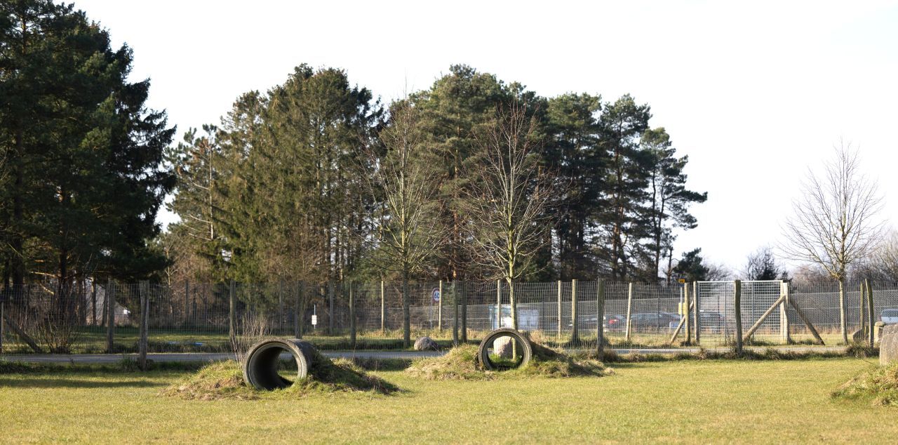hundebane roskilde dyreinternat