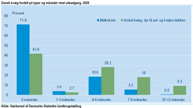 statistik over malkekøer på græs