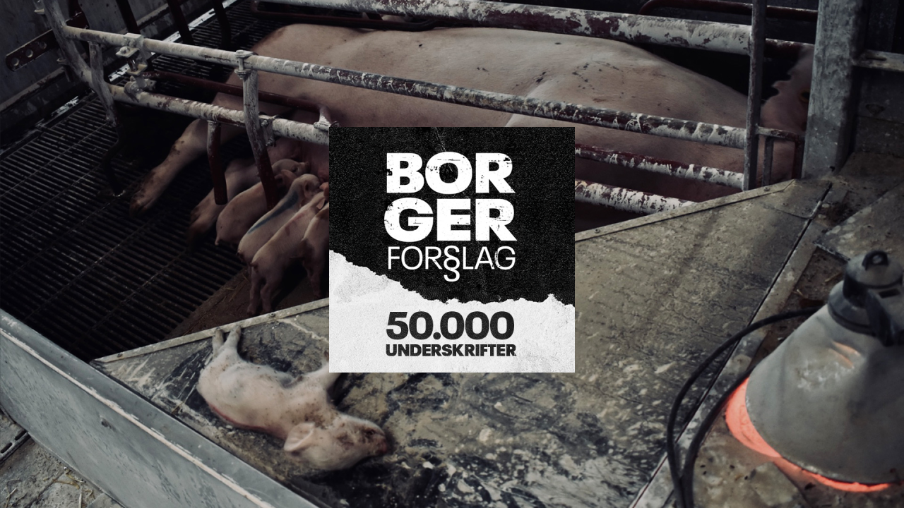 Dyrenes Beskyttelse borgerforslag