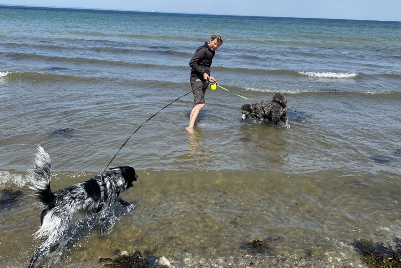 Hundeejer med to hunde i snor ved stranden