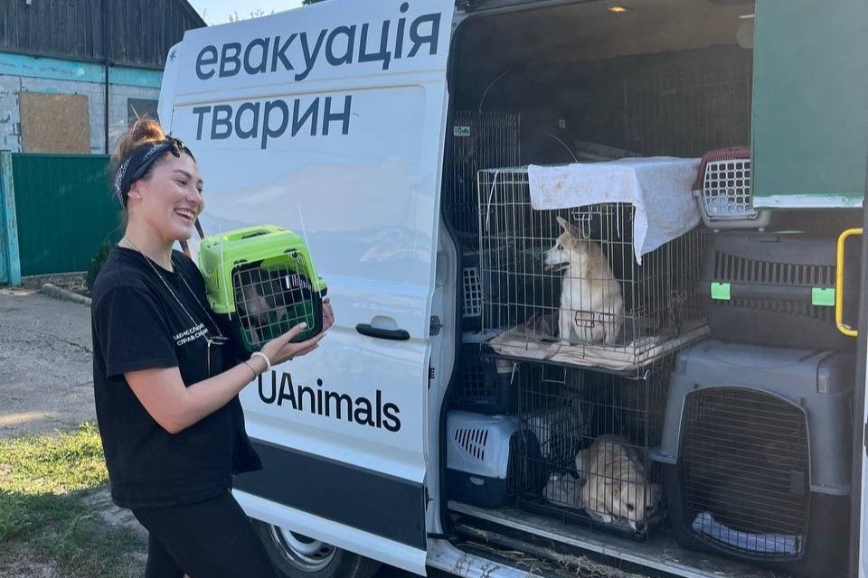 En kvinde er ved at bære et dyr ind i en bil.