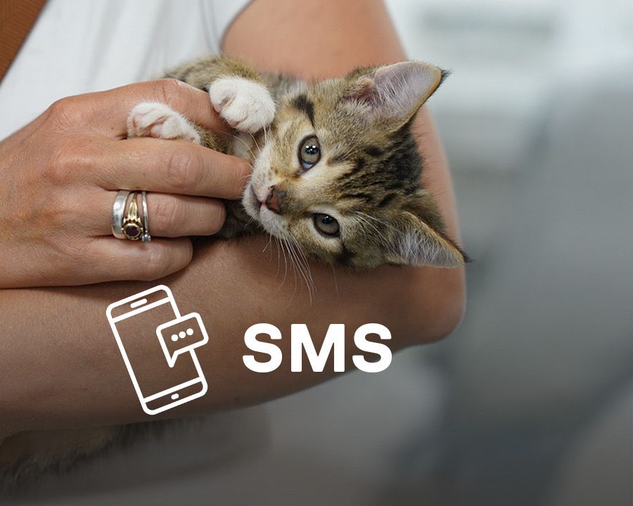 Støt via SMS
