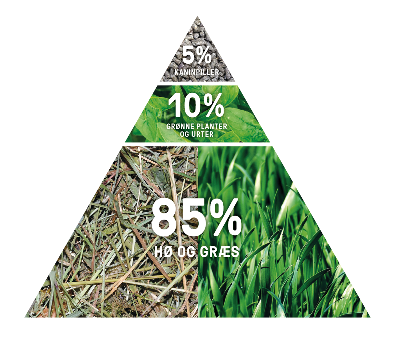 En trekantet kostpyramide for kaniner. Nederst står “85 % hø og græs”, i midten “10 % grønne planter og urter”, og øverst “5 % kaninpiller”. Grafikken viser, at hø og græs skal udgøre størstedelen af kaninens kost.