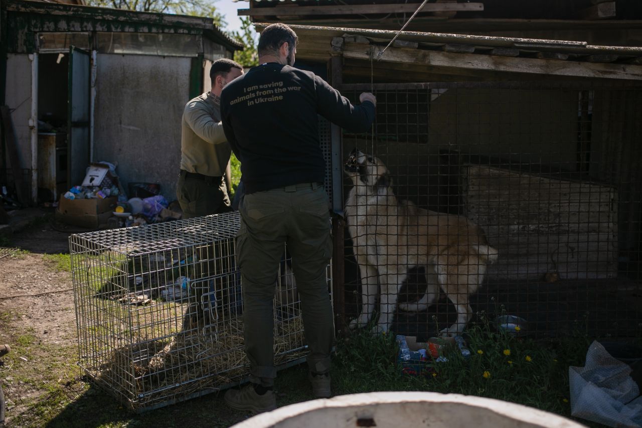 Redning af dyr i Ukraine