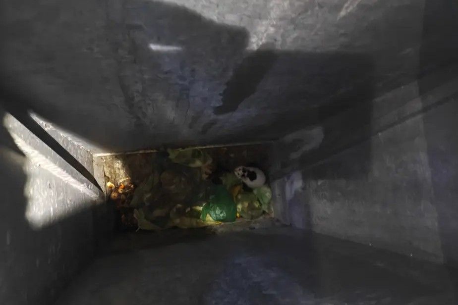 Den dybe skakt set oppefra