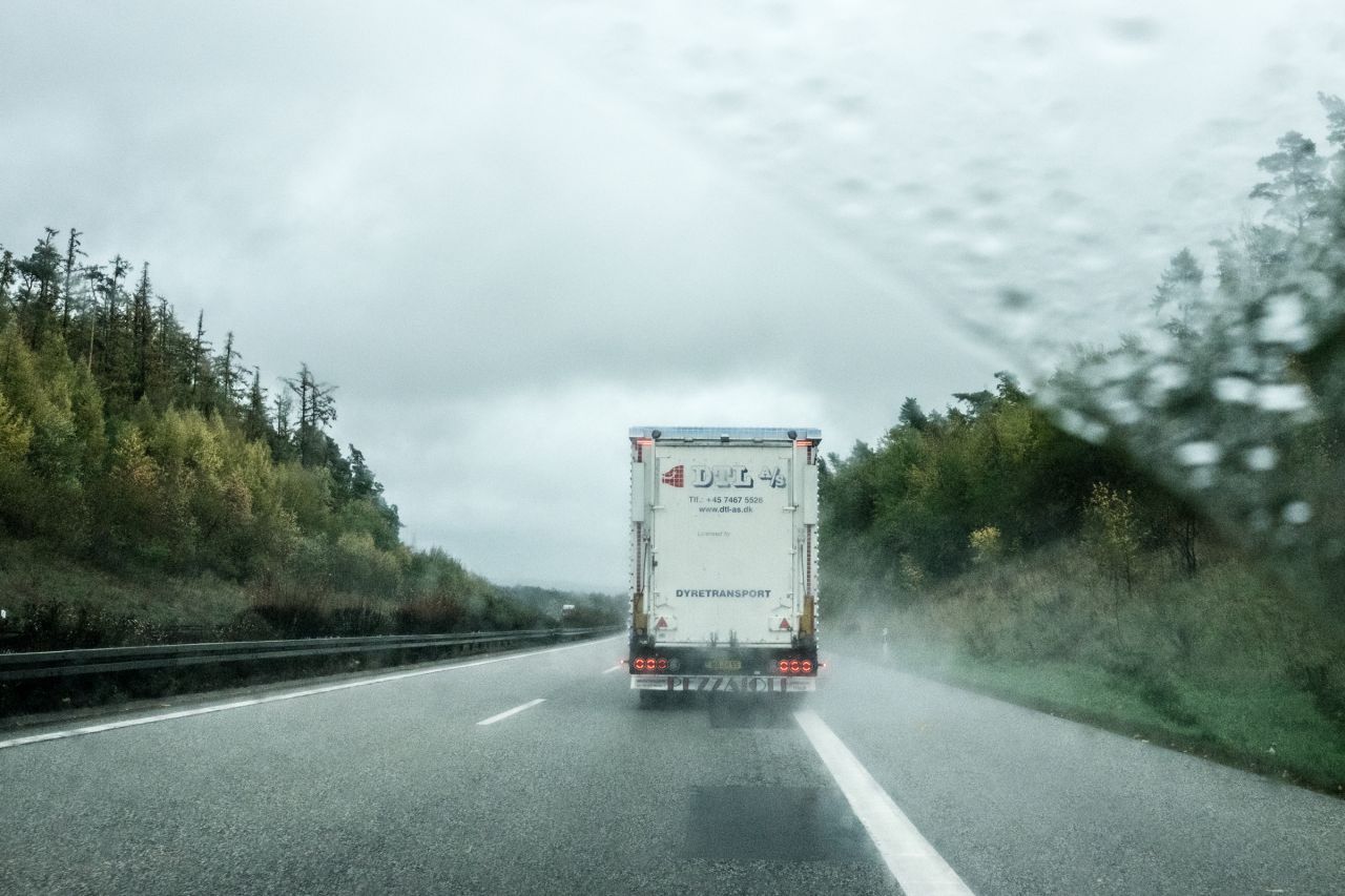 Grisetransport fra Danmark kommer kørende på motorvej