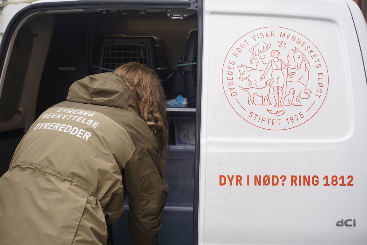 Dyreredningsbil