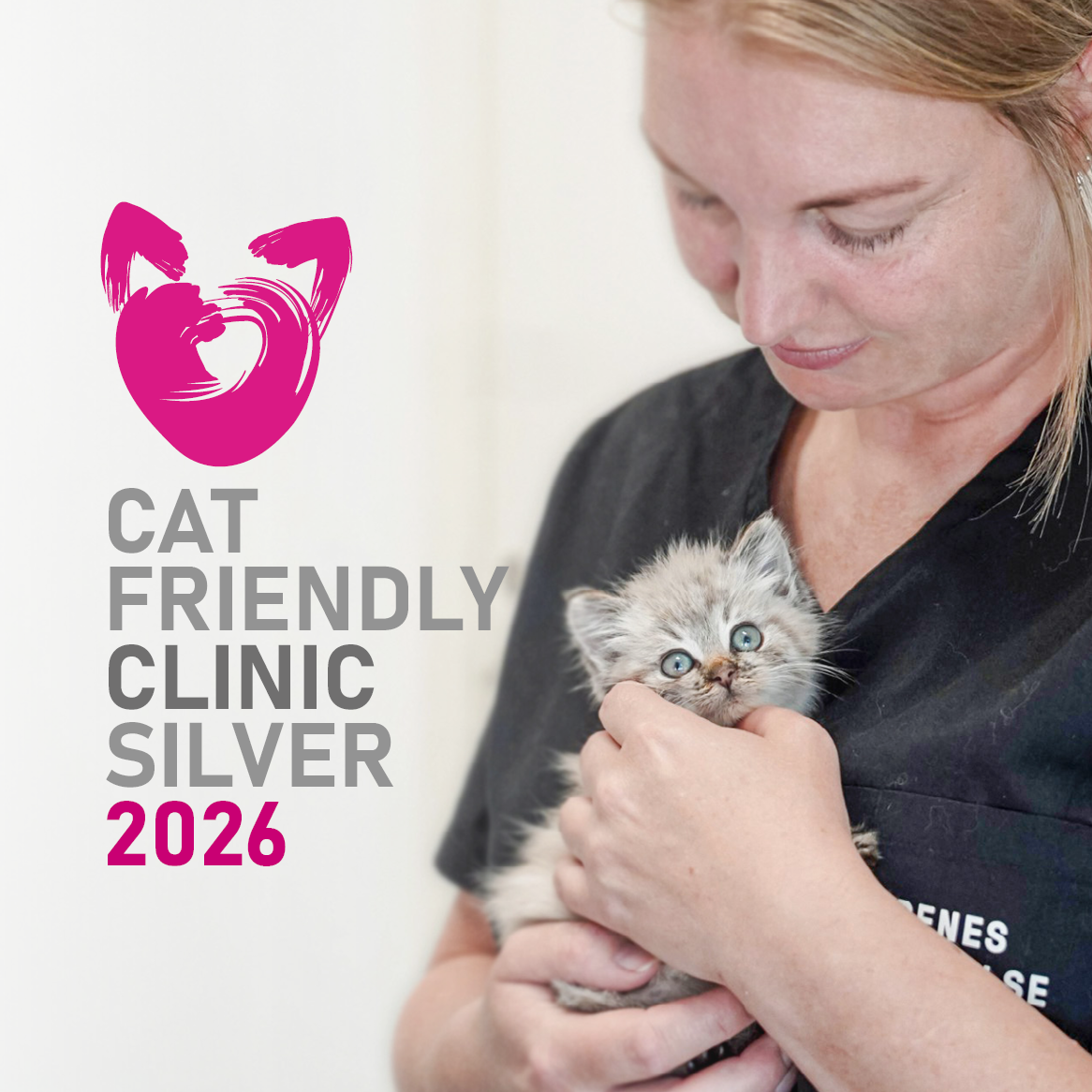 Cat Friendly Clinic Silver