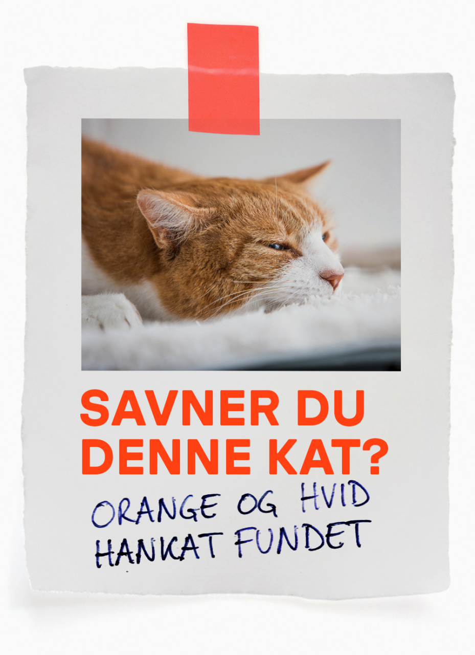 Fremlysningsplakat