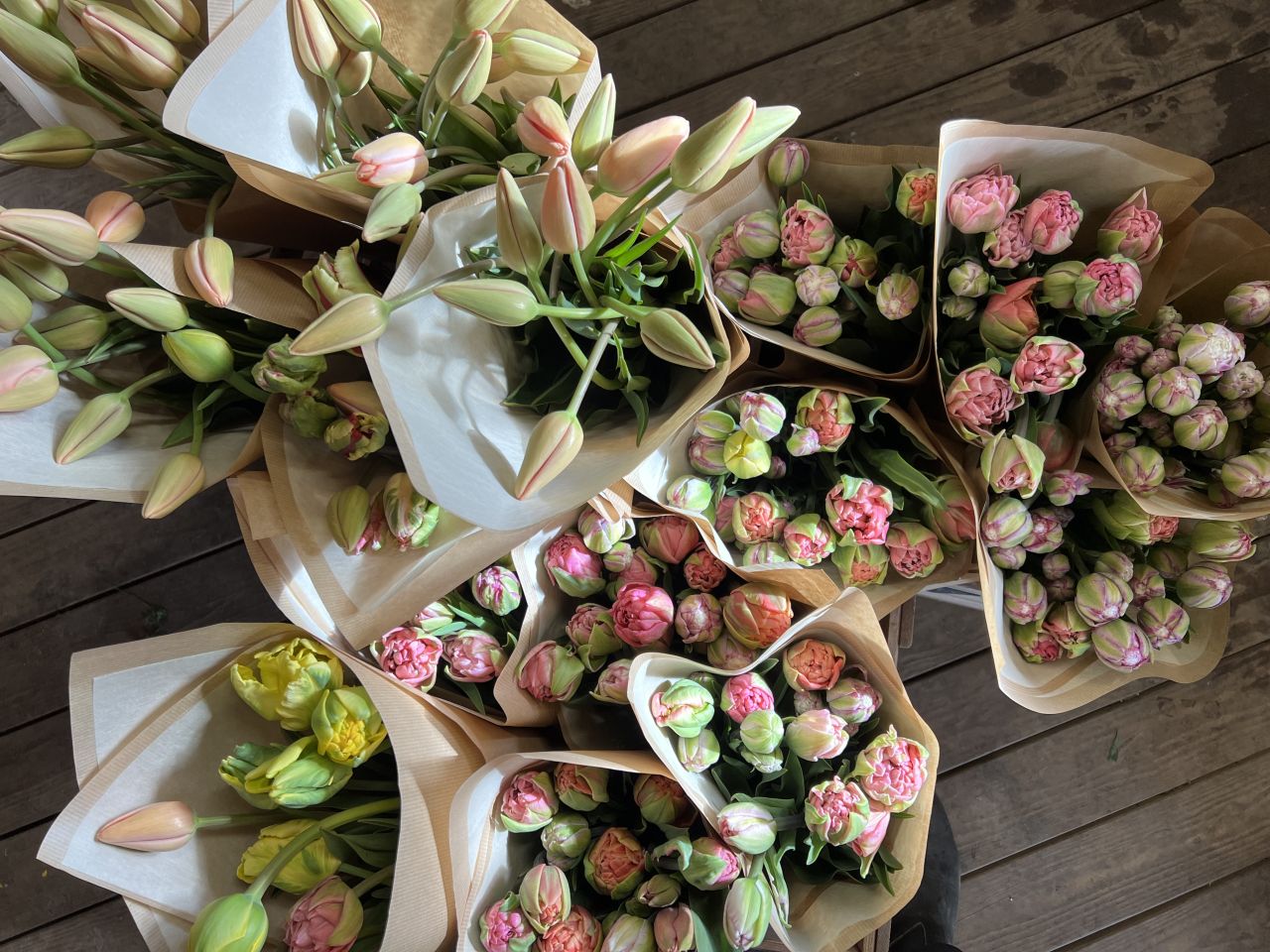 Spande med tulipaner.