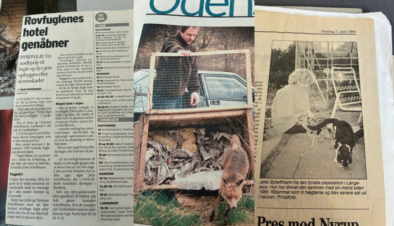En collage med tre billeder af avisudklip.