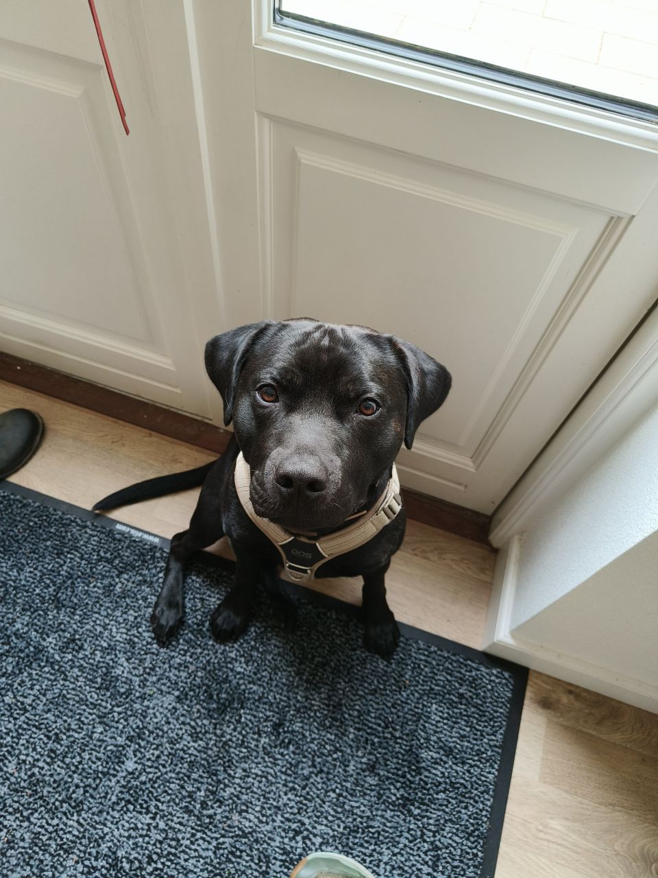 Charles hos Plejemor