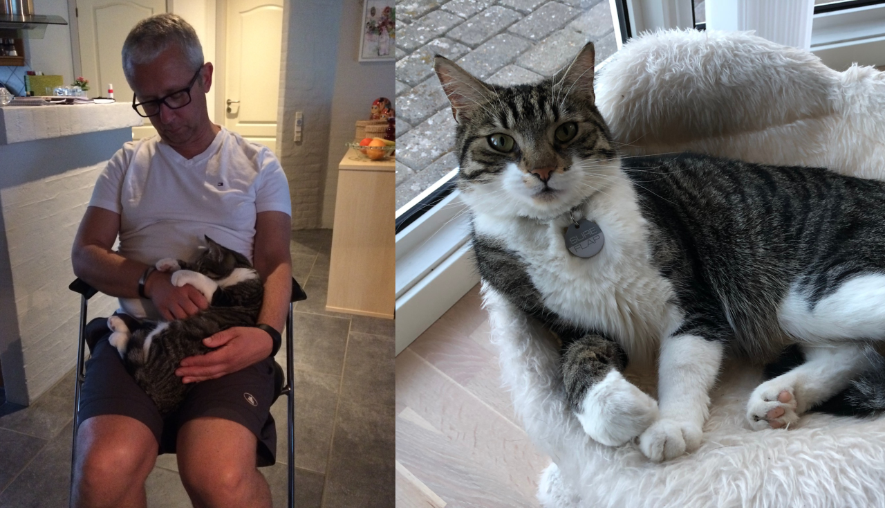To billeder. Til venstre sidder Tobias’ far med en kat på skødet. Til højre ligger katten Athena i en hvid katteseng